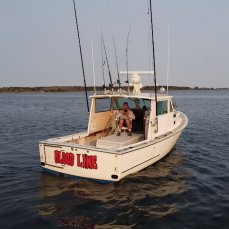 Bloodline Charters profile photo
