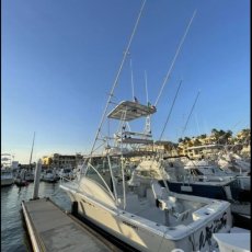 Javier Abaroa JR profile photo