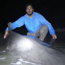 Cory Johnston profile photo