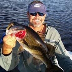 Tom Hinterschied profile photo