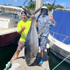 Hawaii Whale Tale Tour profile photo