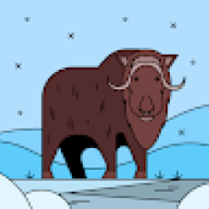 Team Margarita Sportfishing – Shaka