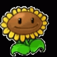 Sea Esta Sportfishing