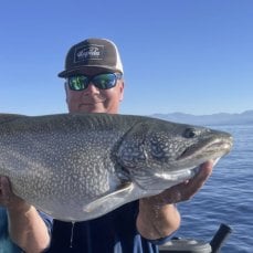 Mike Nielsen profile photo