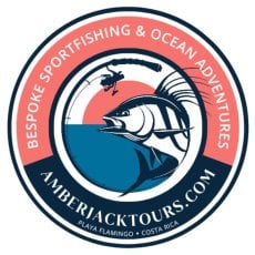 Amberjack Tours profile photo