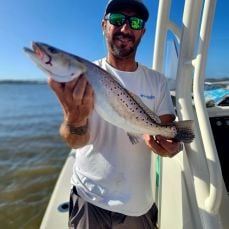 Daniel Simmons profile photo