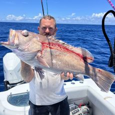 Live Action Charters profile photo