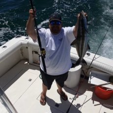 Tailraiser Charters profile photo