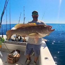 John Perry profile photo