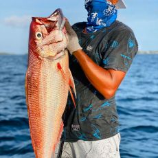 Abdulla Shareef profile photo