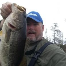 David Ward profile photo