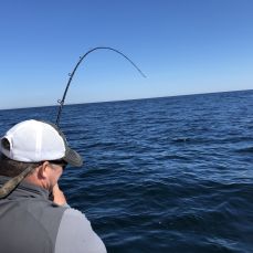 Kill Day Sportfishing