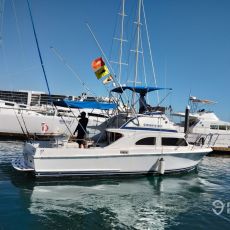 Dorado lV Fishing Advertures profile photo