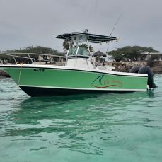 Renee Werleman profile photo