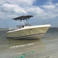 Andrew  Smith profile photo