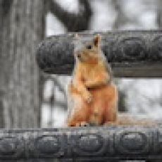 Dead Tide Sportfishing