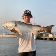 Matthew Kane profile photo