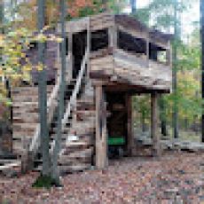 Black Irish Charters