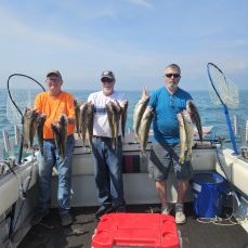 Karl Nelson profile photo