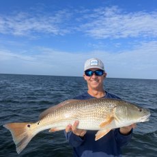 Fish-N-Tripp Charters profile photo