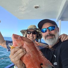 John Kavanagh profile photo