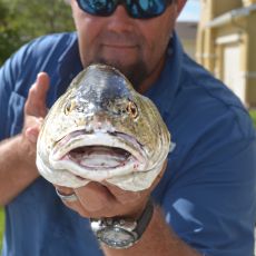 Trever Dorics profile photo