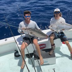 Christopher Aiello profile photo