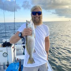 Erik Davis profile photo