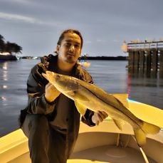 Marcos Perez profile photo