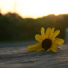 ProWest Fishing LLC – Deer Creek