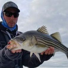 Brian Williams profile photo