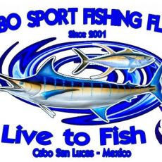 Cabo Sport Fishing Fleet profile photo