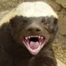 Wy Reel Action Fishing, LLC