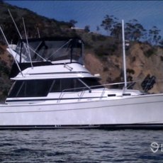 Jamey Trueblood profile photo