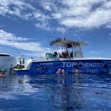 Trae Sorensen profile photo