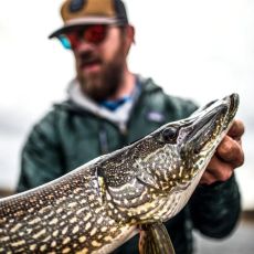 Matt Martin profile photo