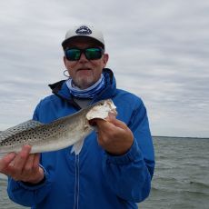 Mike Ashley profile photo