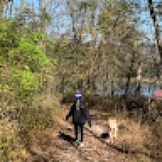 Make A Wake – Captiva Island