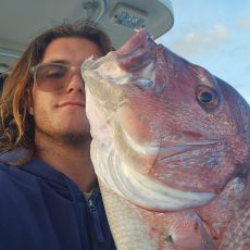 Adam De Togni profile photo