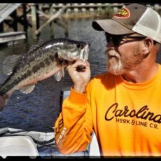 Todd Vick profile photo