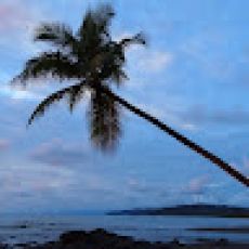 Merganzer Fishing Charters