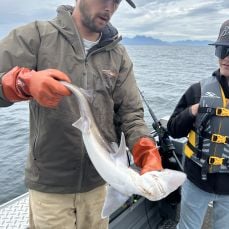 Aaron Ramirez profile photo