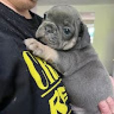 Beck N Call Fishing Guide Service