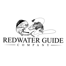 Max Williams profile photo