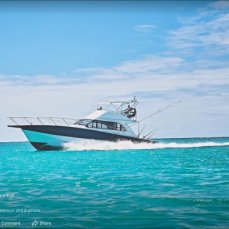 Aquila Fishing Charters profile photo