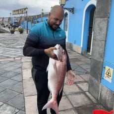 Vicente Donate Toledo profile photo