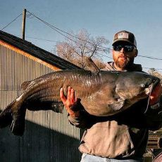 Brian Liverman profile photo