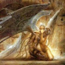 Dead Tide Sportfishing