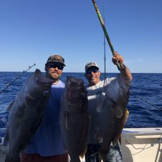 Taylor Waterfield profile photo