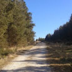 Bass Catch In Santa Clara